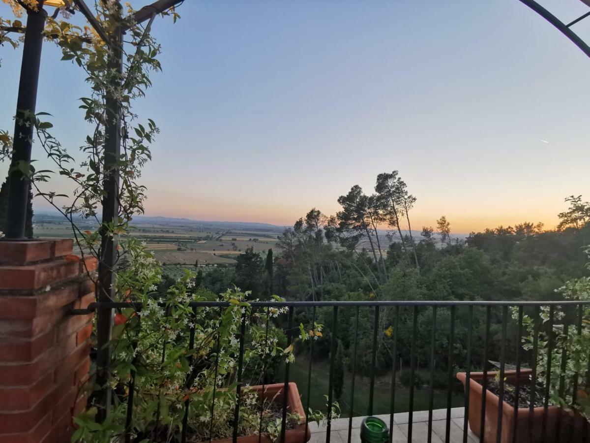 Villa Schiatti Cortona Buitenkant foto